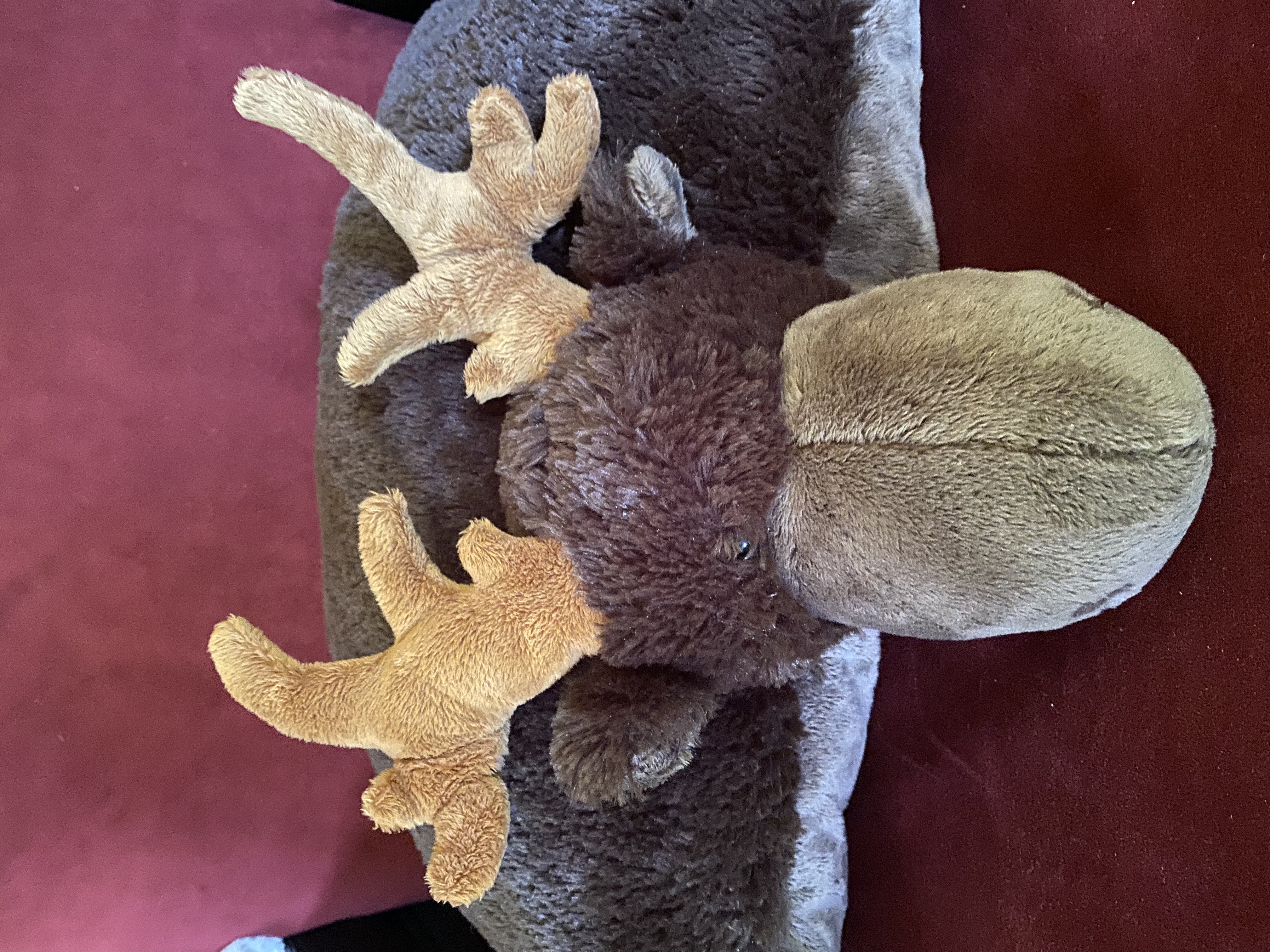 My Pillow Pets - Moose